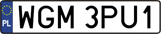 WGM3PU1