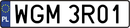 WGM3R01