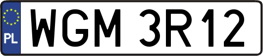WGM3R12