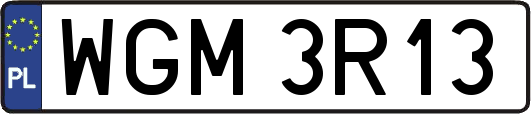 WGM3R13