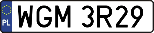 WGM3R29