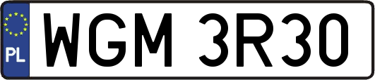 WGM3R30