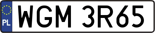 WGM3R65