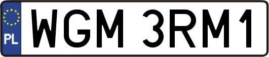 WGM3RM1