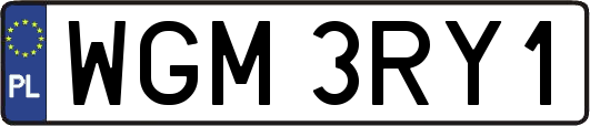 WGM3RY1