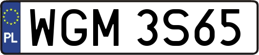 WGM3S65