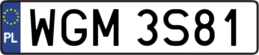 WGM3S81