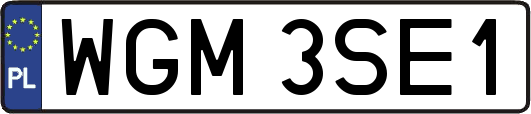 WGM3SE1