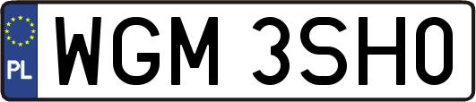 WGM3SH0