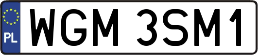 WGM3SM1