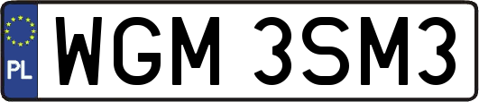 WGM3SM3