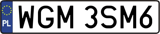WGM3SM6