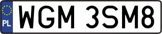 WGM3SM8