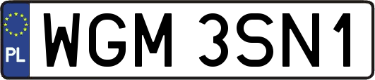 WGM3SN1