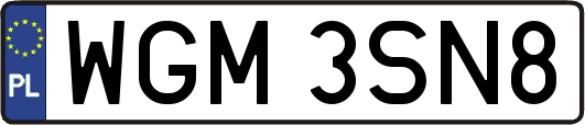 WGM3SN8