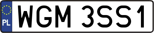 WGM3SS1