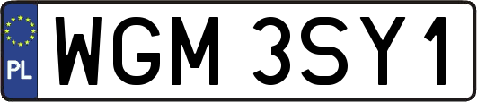 WGM3SY1