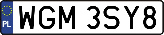 WGM3SY8
