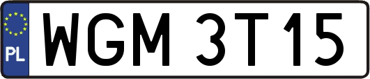 WGM3T15