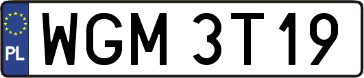 WGM3T19
