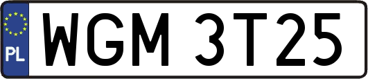 WGM3T25