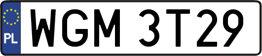 WGM3T29