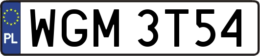 WGM3T54
