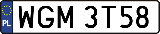WGM3T58