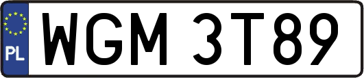 WGM3T89