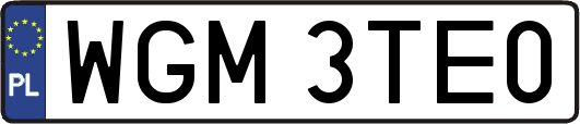 WGM3TE0