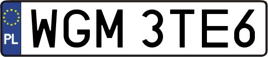 WGM3TE6