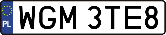 WGM3TE8