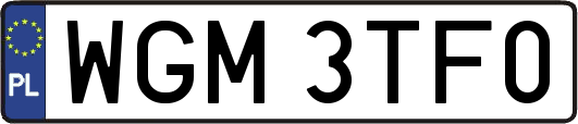 WGM3TF0