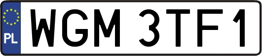 WGM3TF1