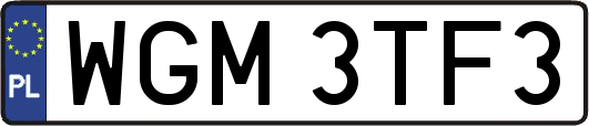 WGM3TF3