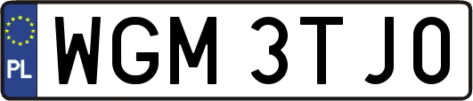 WGM3TJ0