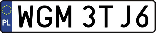 WGM3TJ6