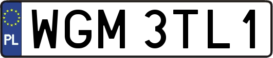 WGM3TL1