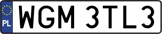 WGM3TL3