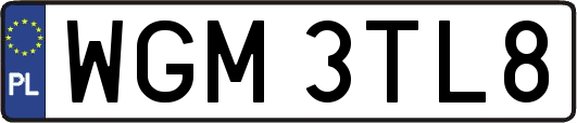 WGM3TL8