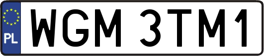WGM3TM1