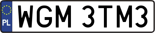 WGM3TM3