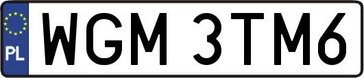 WGM3TM6