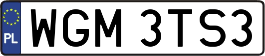 WGM3TS3