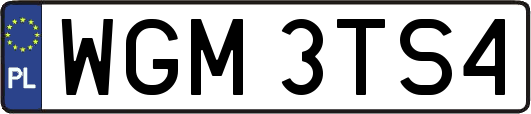 WGM3TS4