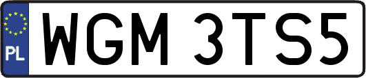 WGM3TS5