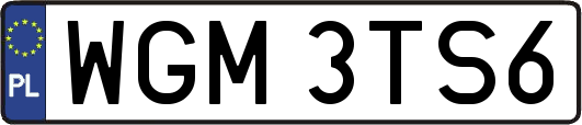 WGM3TS6