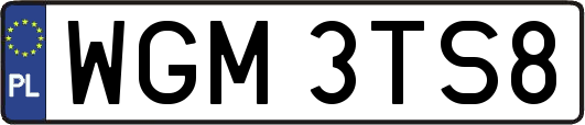 WGM3TS8
