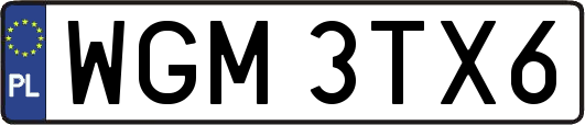 WGM3TX6