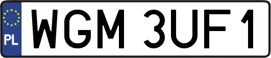 WGM3UF1